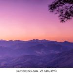 纳粹女子亲卫队 在线观看:揭秘历史背后的阴暗故事与女性角色 fy8hiia