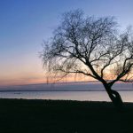 畅享宇都宫精彩内容的在线观看平台推荐 qz624t